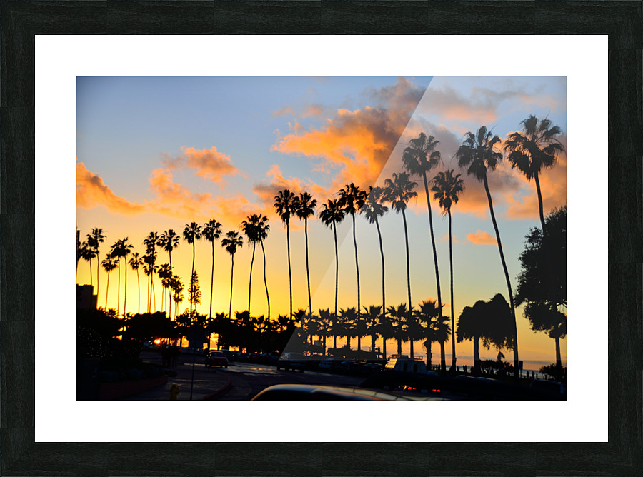 Palm Trees Picture Frame print