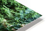 Down the Rabbit Hole HD Metal print