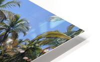 Playa Carillo HD Metal print