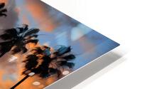 Palm Trees HD Metal print