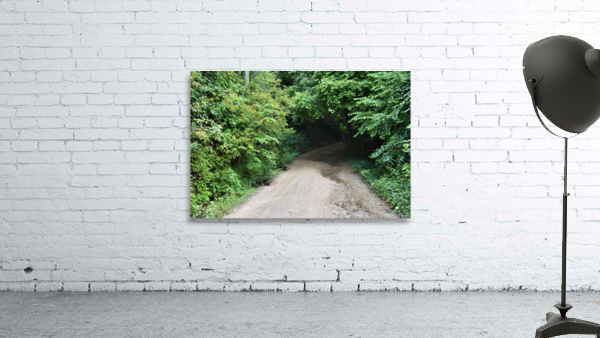 Down the Rabbit Hole Wall Preview