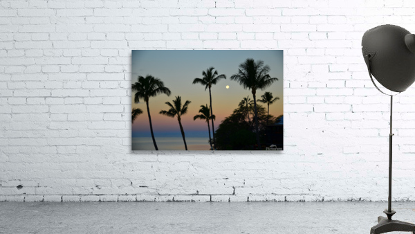 Night Life Wall Preview