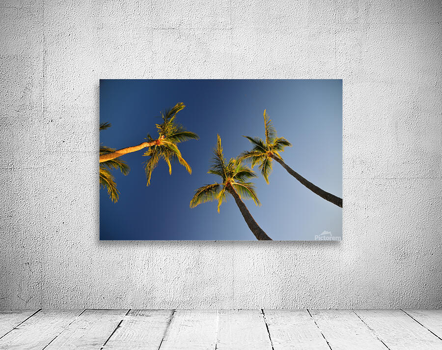 Pretty Little Trees Wall Preview
