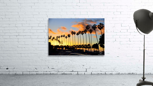 Palm Trees Wall Preview
