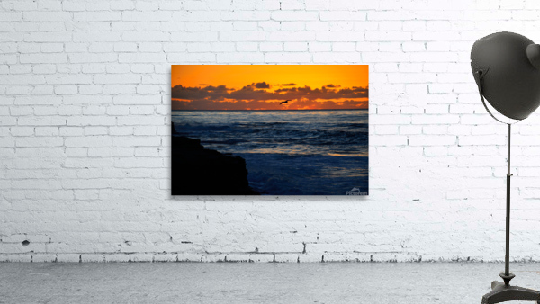 Free Wall Preview