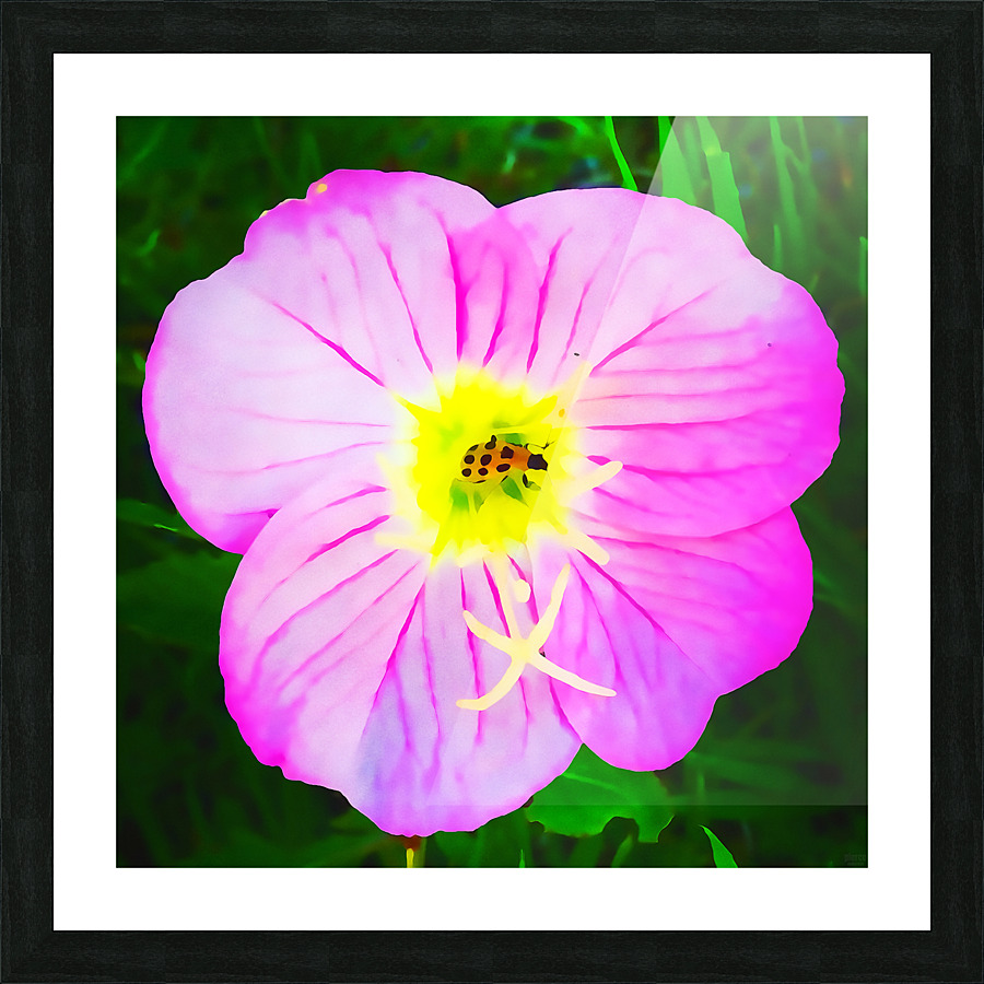 lady bug flower Picture Frame print
