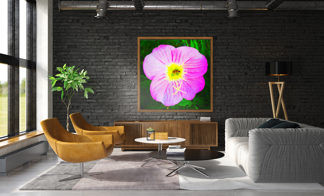 lady bug flower Reproduction