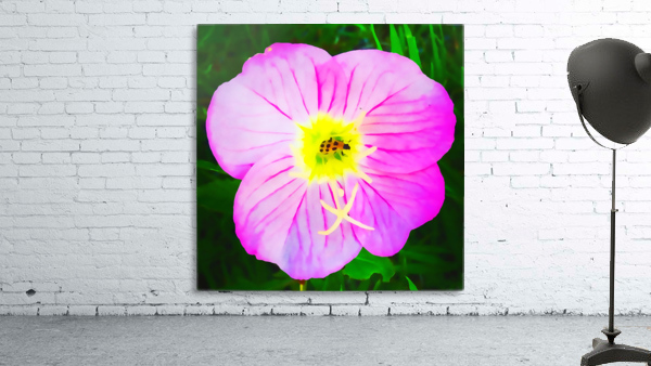 lady bug flower Wall Preview