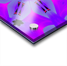 Purple Karma 1 Acrylic print