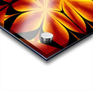 Fire Flowers 92 Acrylic print