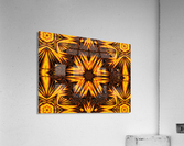 Golden Dandelion Acrylic Print