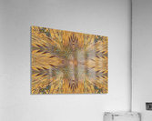 Feather Butterfly Acrylic Print