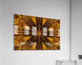 Golden Compass Wildflower Acrylic Print
