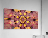 Black Lotus Petal 1 Acrylic Print