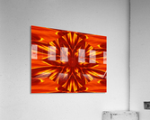 Fire Flowers 8 Acrylic Print