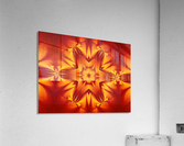 Fire Flowers 128 Acrylic Print