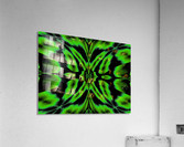 Light Butterfly 4 Acrylic Print