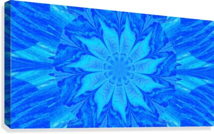 Blue Sky Wildflower Canvas Print