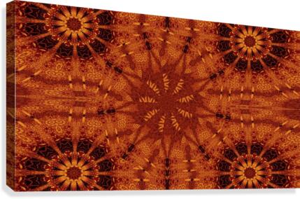 Black And Gold Wildflowers 24 Canvas Print