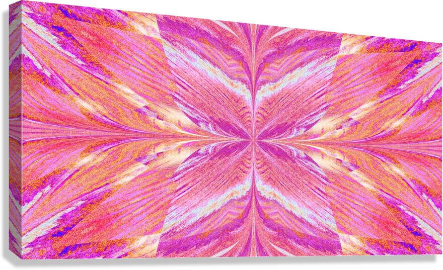 Sand Butterfly 19 Canvas Print