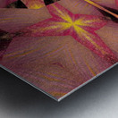 Black Lotus Petal 1 Metal print