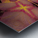 Black Lotus Petal 2 Metal print