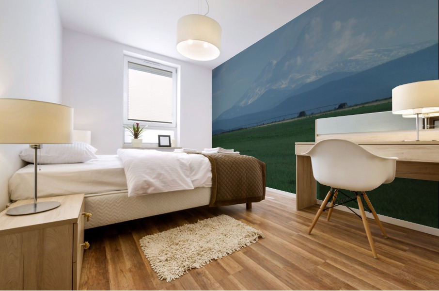 Mount Shasta: The Runaway Bride 2 Mural print