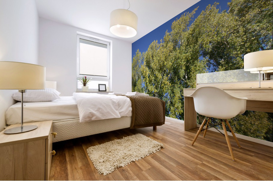 Autumn Leaves Turning  Mural print