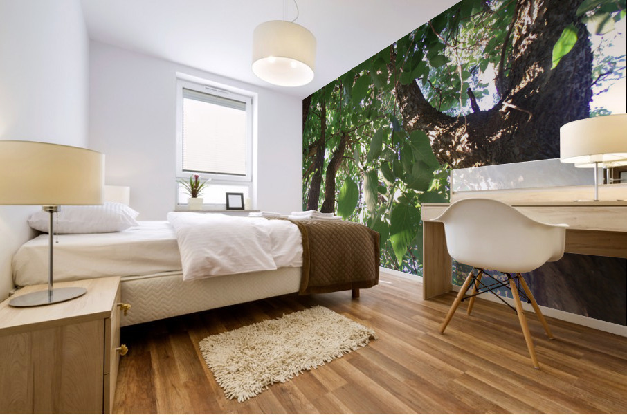 Beautiful Fall Green Trees 3 Mural print