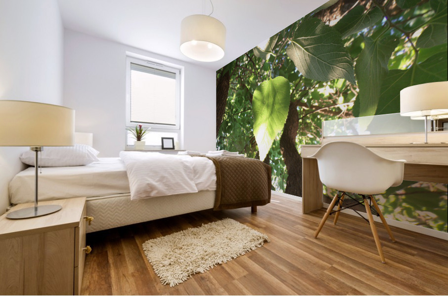 Beautiful Fall Green Trees 6 Mural print