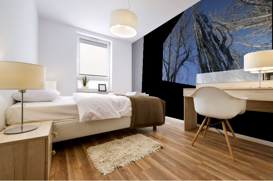 Lost River Winter Trees 7 Mural print