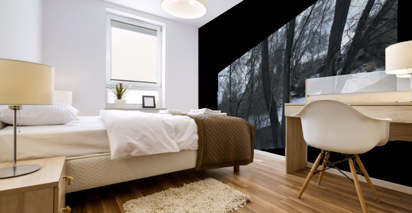 Spring Snow Trees 3  Mural print