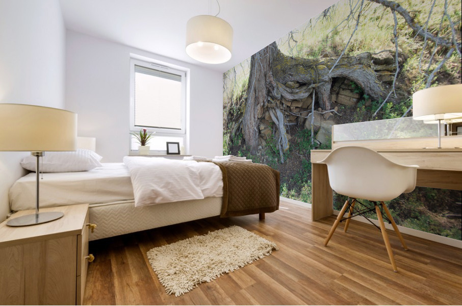 Weird Tree 1 Mural print