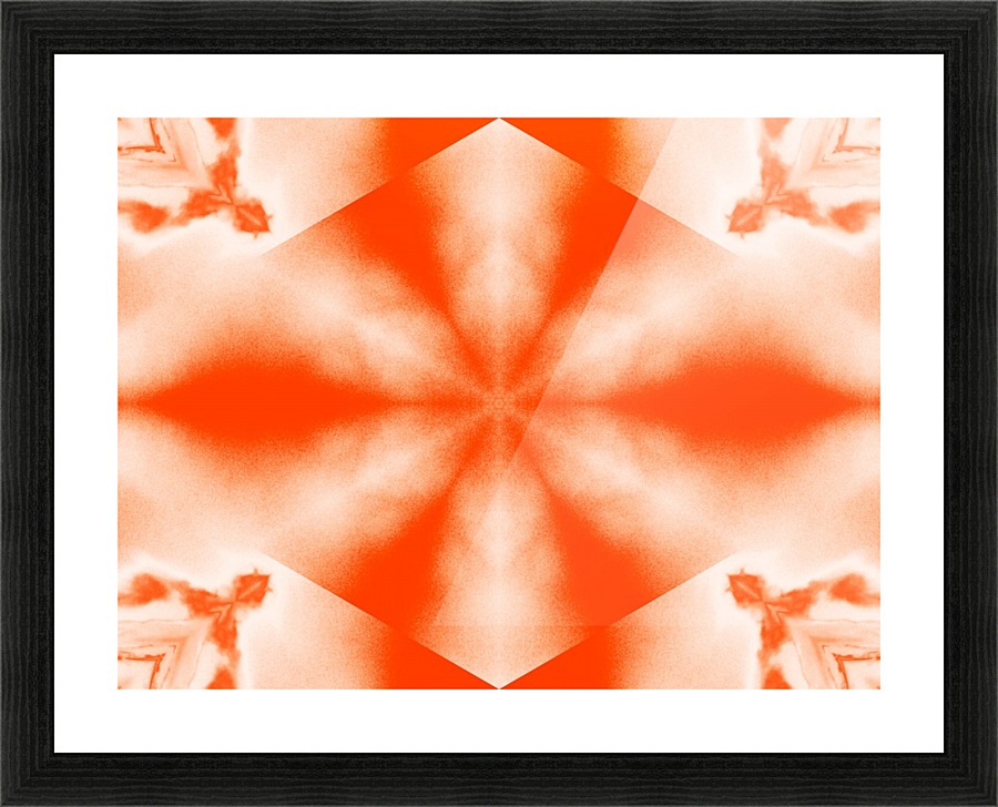 A Flower 11 Picture Frame print