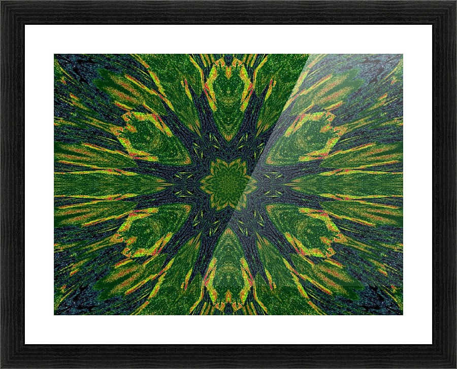 Green Flower 4 Picture Frame print