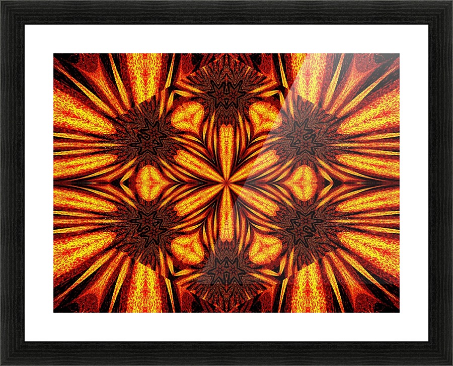 Sunshine Wildflower 2 Picture Frame print