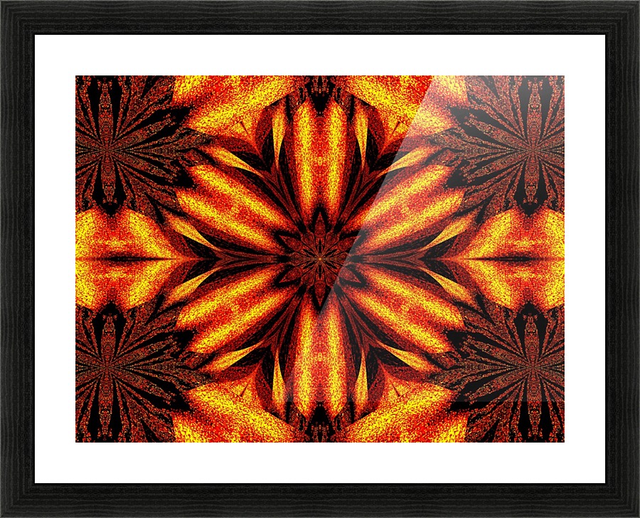 Sunshine Wildflower 1 Picture Frame print