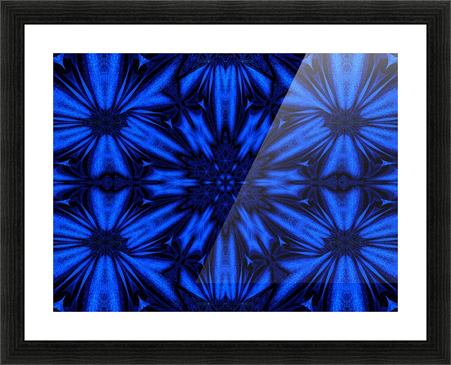 Midnight Flowers Picture Frame print