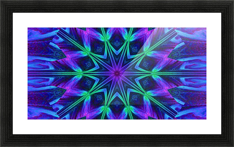 Night Flower 1 Picture Frame print