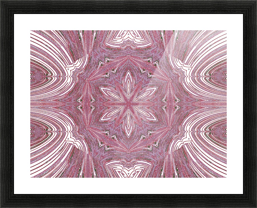 Pink  Jasmine Picture Frame print