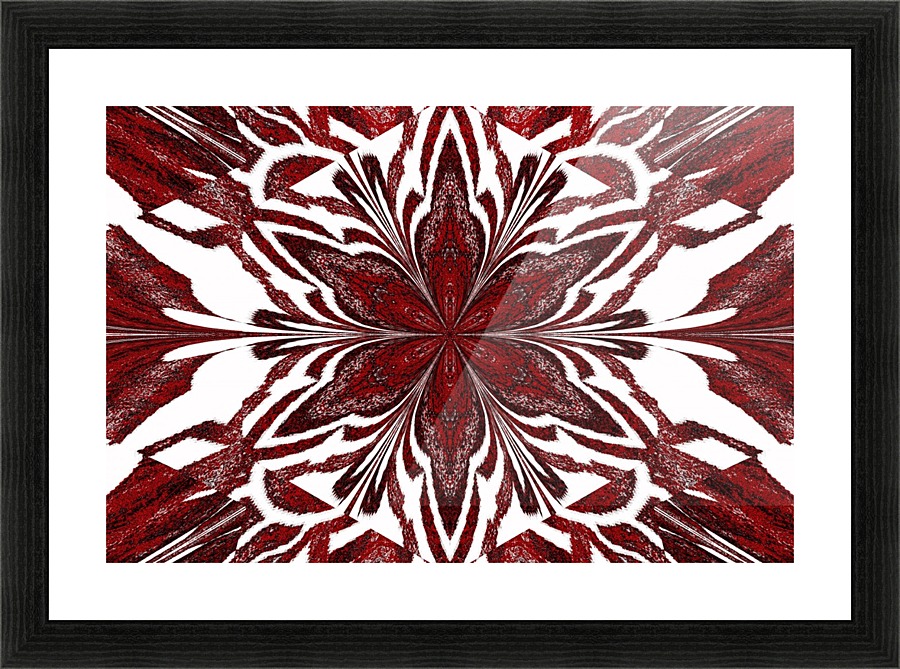 Red Jasmine Picture Frame print