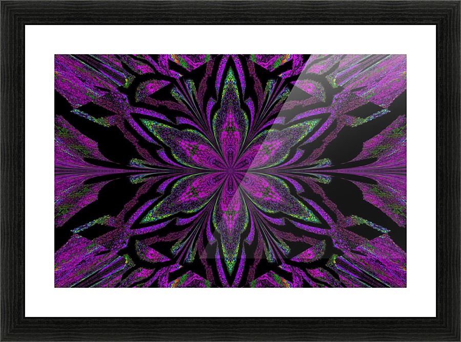 Purple Jasmine Picture Frame print