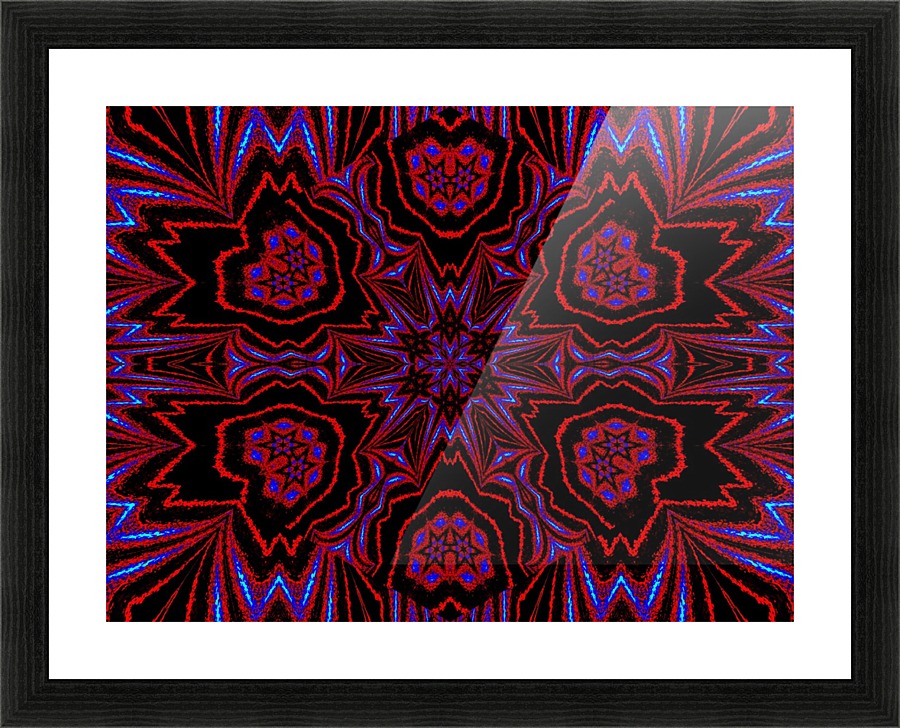 Night Star Flower Picture Frame print