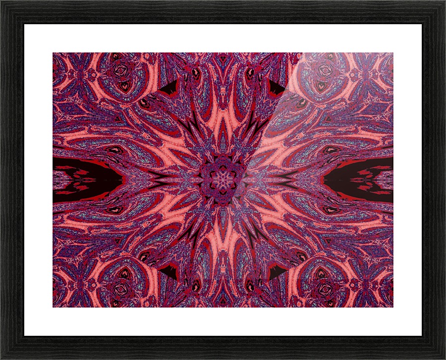 Metamorphosis Rose 2 Picture Frame print