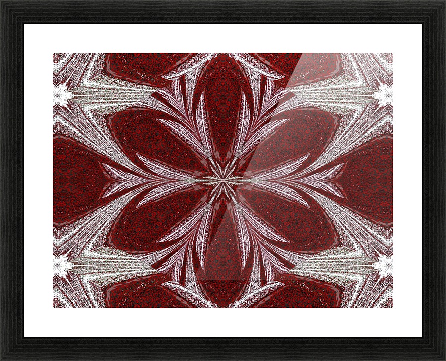 Red Daisy  Picture Frame print