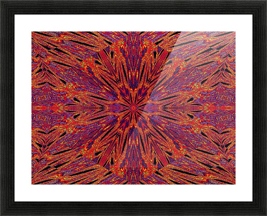 Psychedelic Daisy 3 Picture Frame print