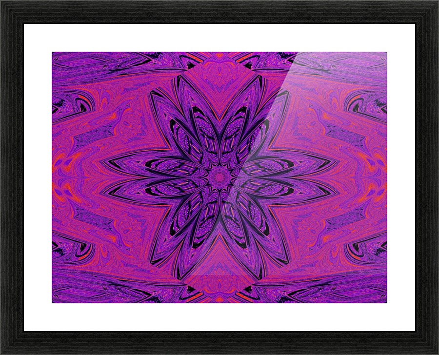 Purple Daisy  Picture Frame print