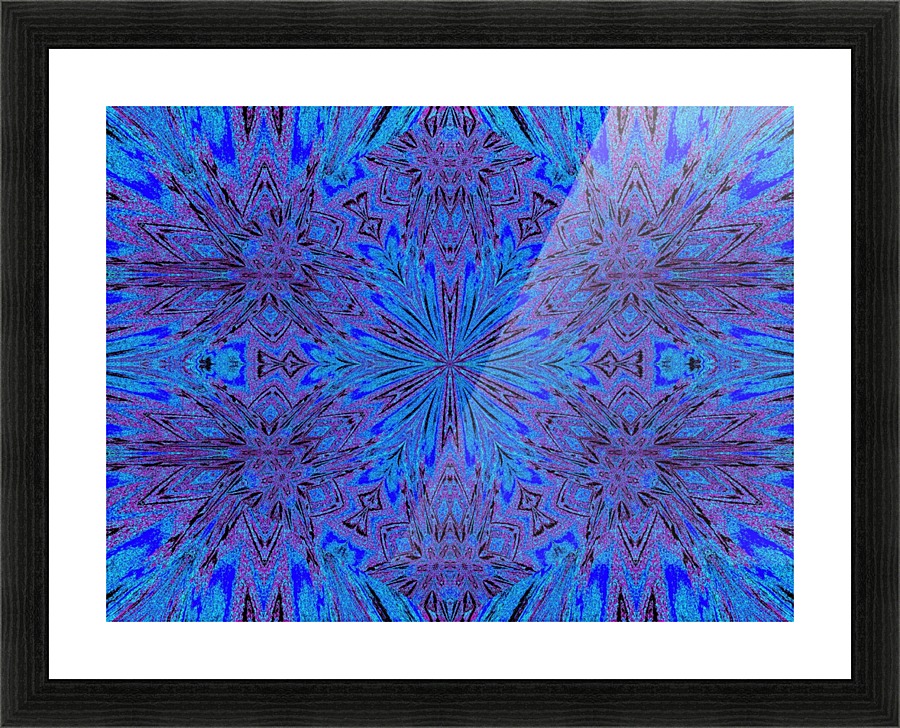 Morining Glory 1 Picture Frame print