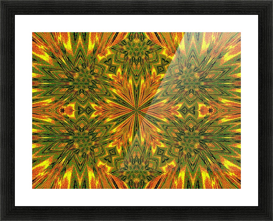 Morining Glory 3 Picture Frame print