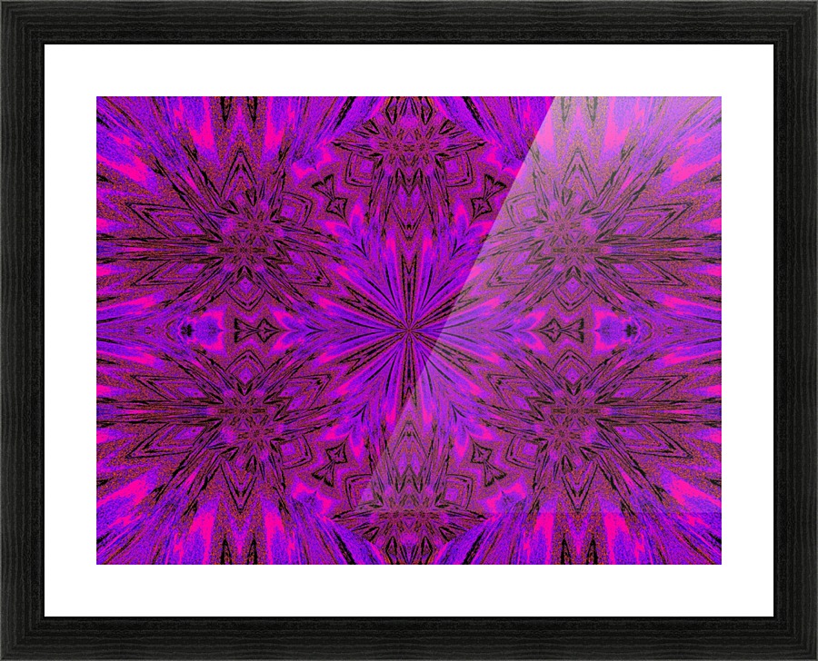 Morining Glory 2 Picture Frame print